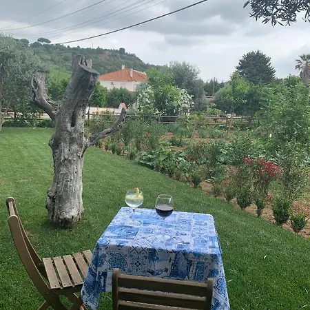 Lantgård Quinta Ribeira Do Labrador - Lisbon West Wine Route