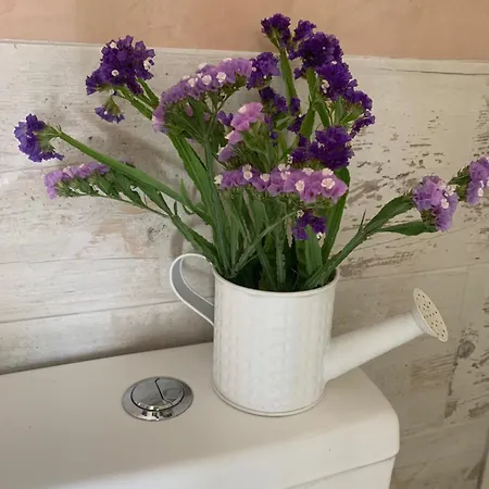 Quinta Ribeira Do Labrador - Lisbon West Wine Route 팜스테이 *