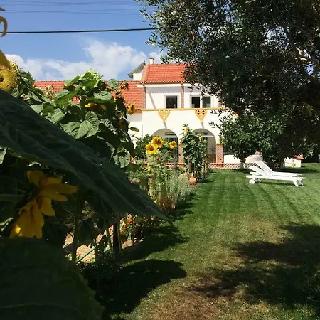 Quinta Ribeira Do Labrador - Lisbon West Wine Route * 알렌쿠어