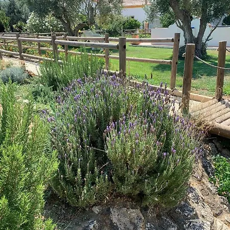 Quinta Ribeira Do Labrador - Lisbon West Wine Route Аленкер