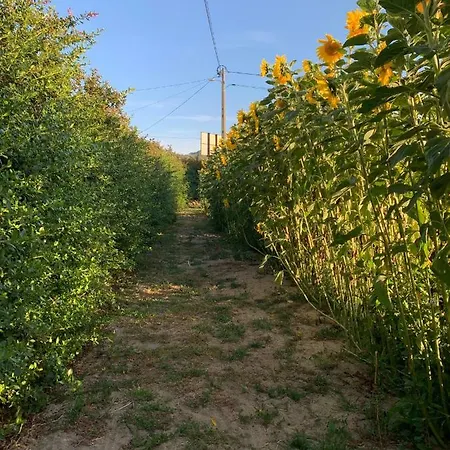 Quinta Ribeira Do Labrador - Lisbon West Wine Route Κατάλυμα σε φάρμα Alenquer