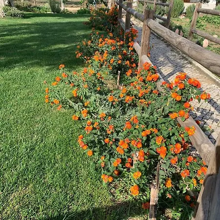 Quinta Ribeira Do Labrador - Lisbon West Wine Route Κατάλυμα σε φάρμα