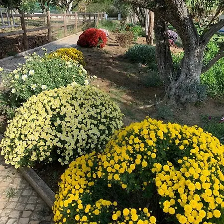 Quinta Ribeira Do Labrador - Lisbon West Wine Route 알렌쿠어