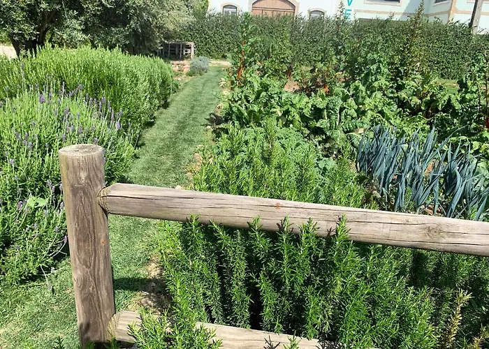 Quinta Ribeira Do Labrador - Lisbon West Wine Route *