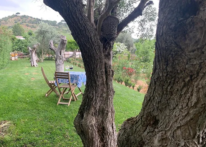 Séjour à la ferme Quinta Ribeira Do Labrador - Lisbon West Wine Route