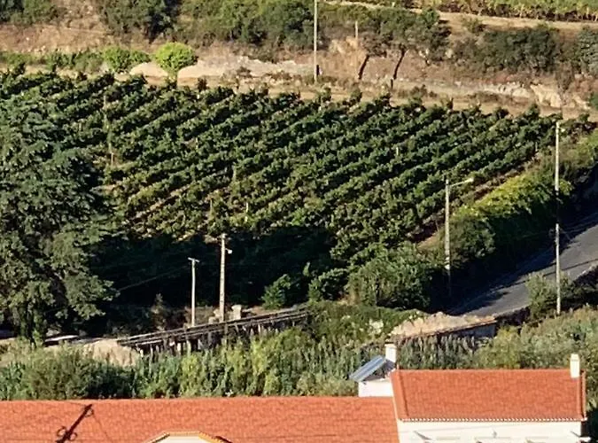 Quinta Ribeira Do Labrador - Lisbon West Wine Route Alojamento de Turismo Rural *