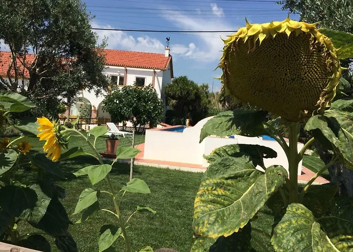 Quinta Ribeira Do Labrador - Lisbon West Wine Route * Alenquer