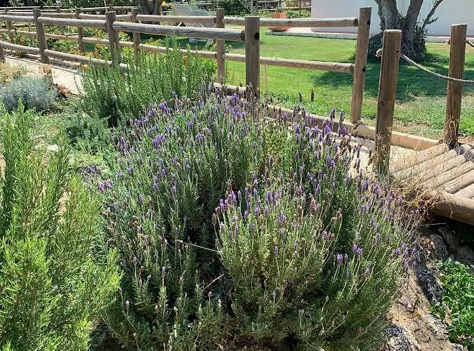 Quinta Ribeira Do Labrador - Lisbon West Wine Route Alenquer