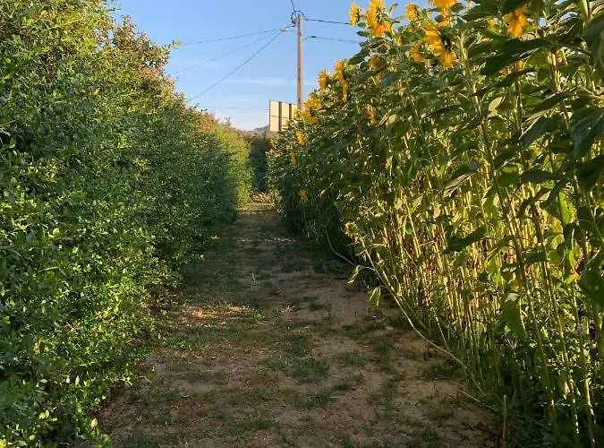 Quinta Ribeira Do Labrador - Lisbon West Wine Route Séjour à la ferme Alenquer