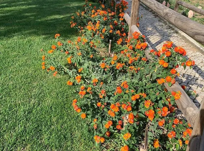 Quinta Ribeira Do Labrador - Lisbon West Wine Route Séjour à la ferme
