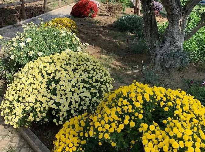 Quinta Ribeira Do Labrador - Lisbon West Wine Route Alenquer